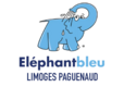 ELEPHANT BLEU LIMOGES PAGUENAUD