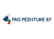 Pro Peinture 87